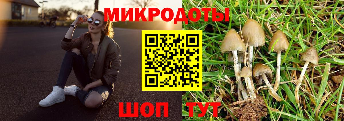 Галлюциногенные грибы MAGIC MUSHROOMS  Вход с VPN  Муравленко  Галлюциногенные грибы MAGIC MUSHROOMS 
